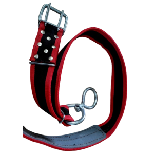 Pas hodowlany     B  wzmocniony