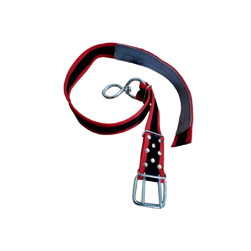 Pas hodowlany     B  wzmocniony