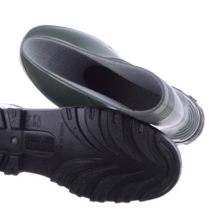 Gumowce ziel.dams.  41