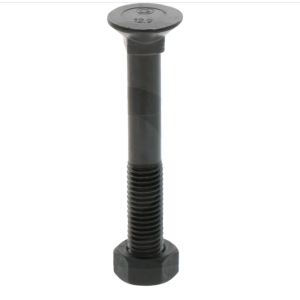 ŚRUBA   PŁUŻNA     M 12/38mm   1 kpl.dłuta