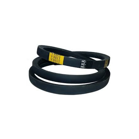 PASEK KLINOWY   HC  22X5000  PIX