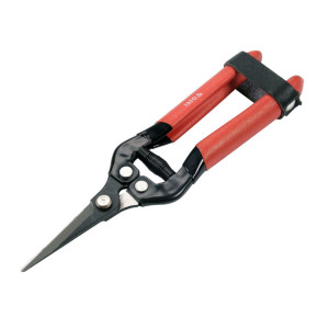 Sekator do zawiązków  7-1/2