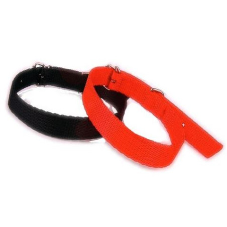 Obroża dla Psa 6  taśma  (72) szeroka