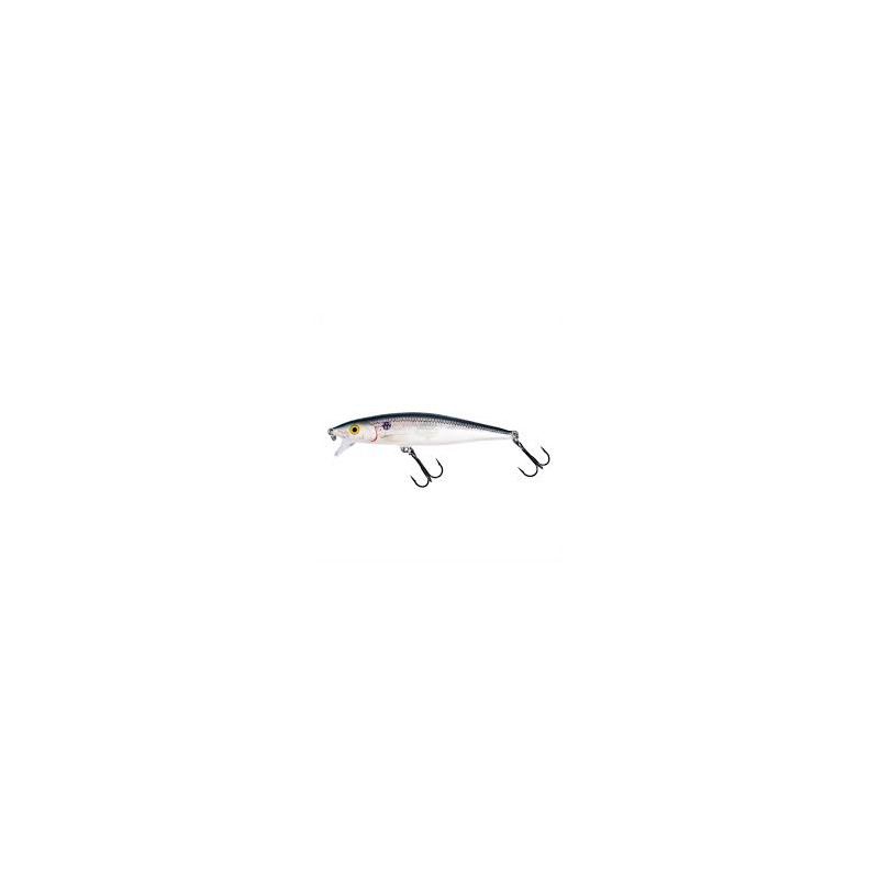 WOBLER RAPALA Flat Rap10 SD