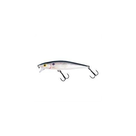 WOBLER RAPALA Flat Rap10 SD