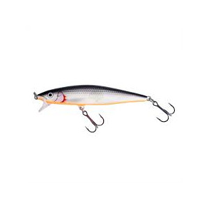 WOBLER RAPALA Flat Rap10 SSH