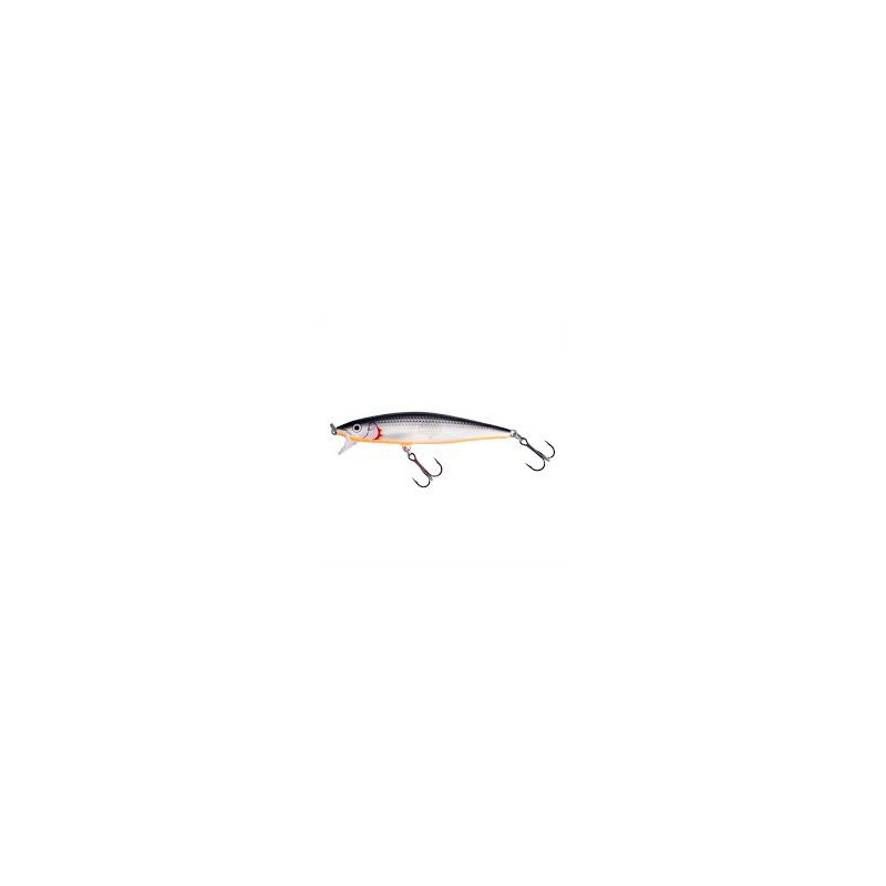 WOBLER RAPALA Flat Rap10 SSH
