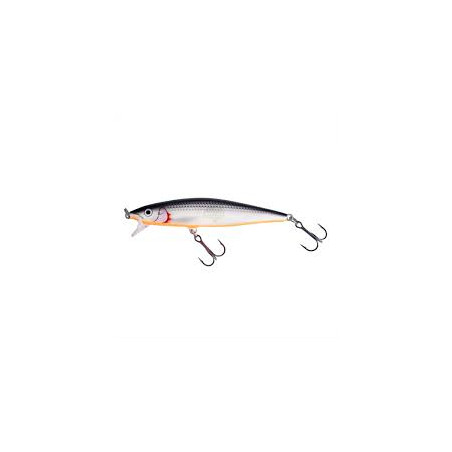 WOBLER RAPALA Flat Rap10 SSH