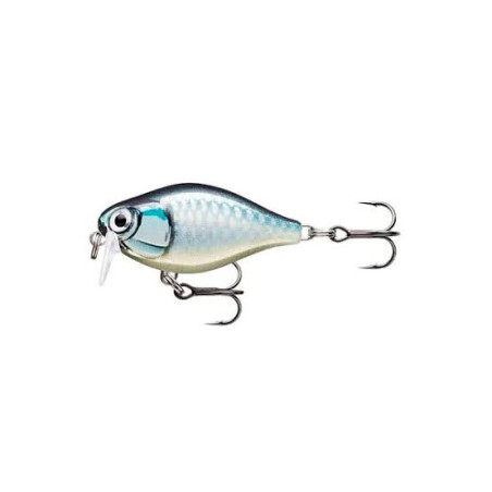 WOBLER RAPALA X-Light Crank Shallow Runner BAP